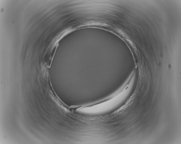 X0000087411369200705111840