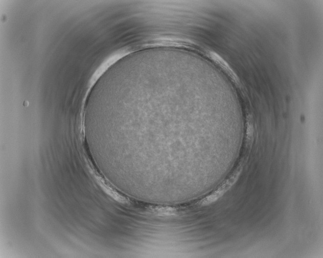 X0000087411370200705111840