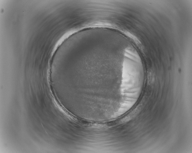 X0000087411374200705111840