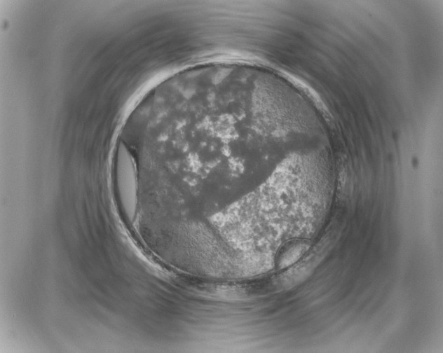 X0000087411375200705111840