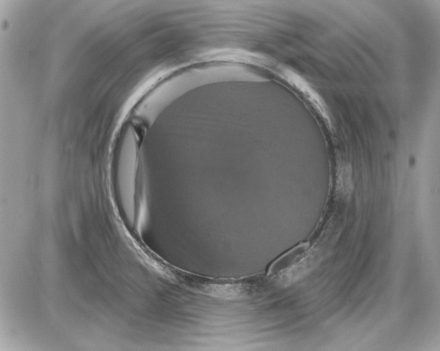 X0000087411376200705111840