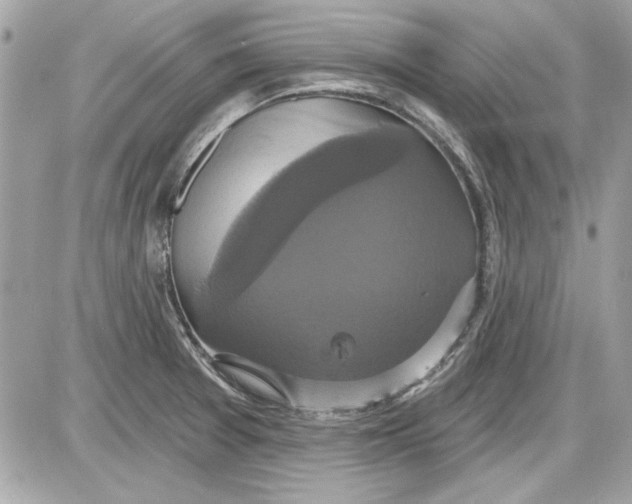 X0000087411377200705111840