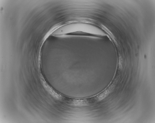 X0000087411378200705111840