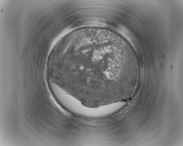 X0000087411379200705111840