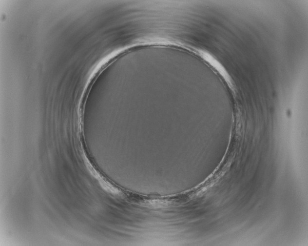 X0000087411380200705111840