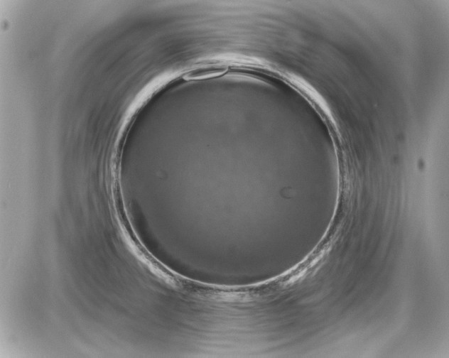 X0000087411381200705111840