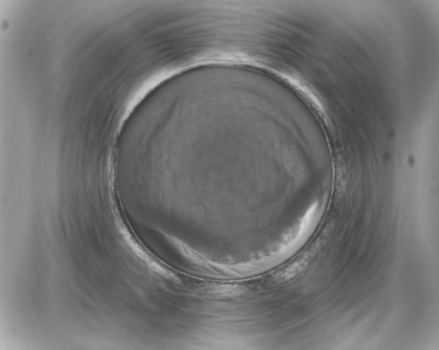 X0000087411382200705111840