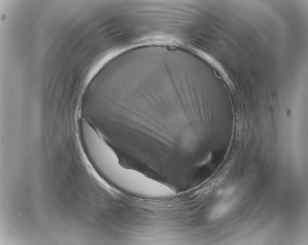 X0000087411383200705111840