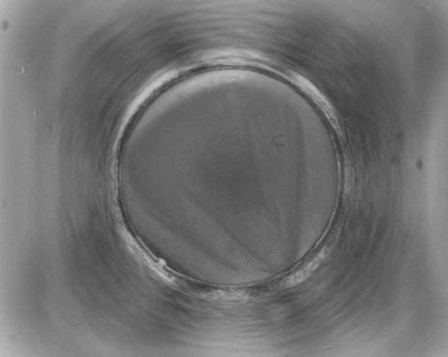 X0000087411384200705111840