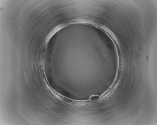 X0000087411385200705111840