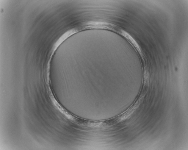 X0000087411386200705111840