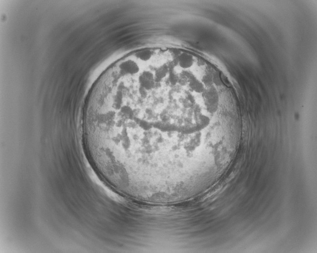 X0000087411387200705111840