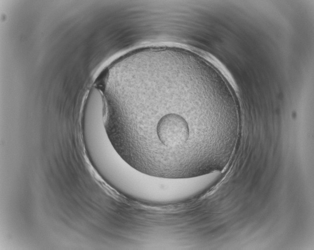 X0000087411388200705111840