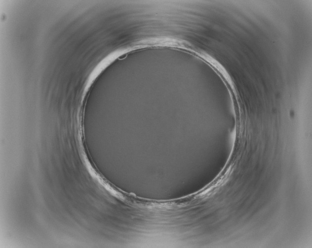 X0000087411389200705111840