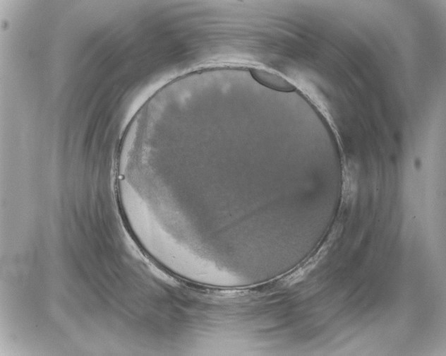 X0000087411390200705111840