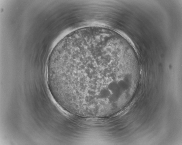 X0000087411391200705111840