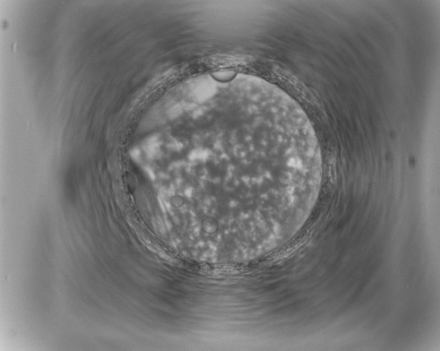 X0000087411393200705111839