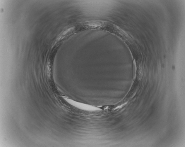 X0000087411394200705111839