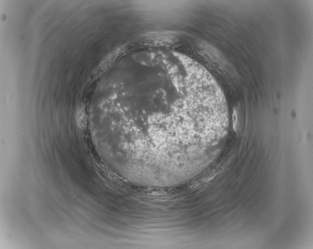 X0000087411395200705111839