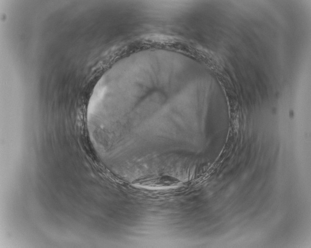 X0000087411397200705111839