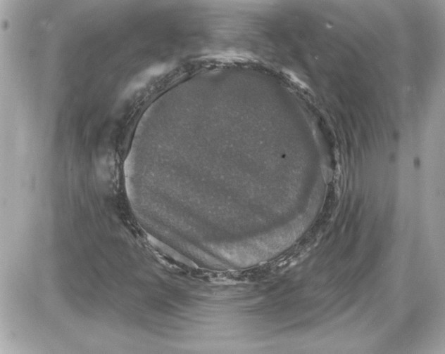 X0000087411398200705111839