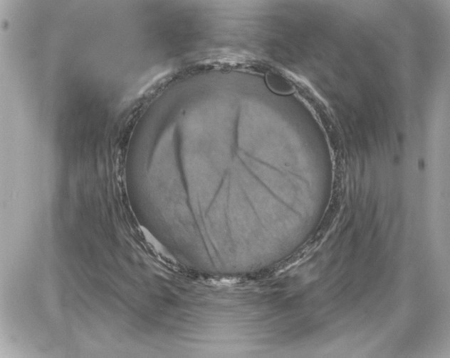 X0000087411399200705111839