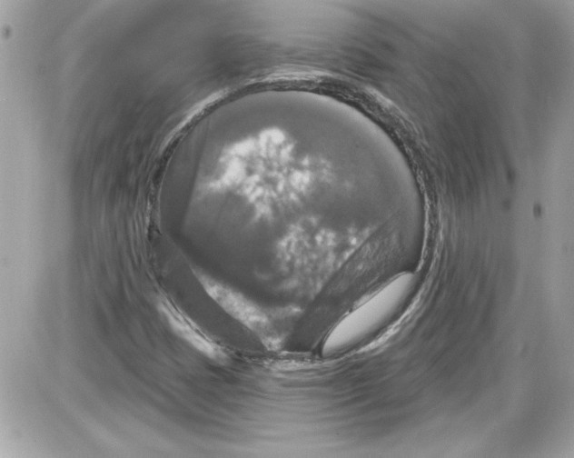 X0000087411401200705111839