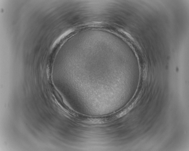 X0000087411402200705111839