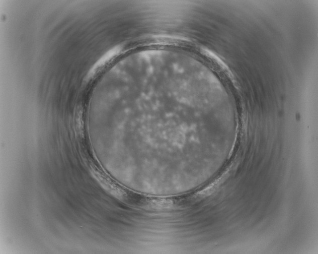 X0000087411403200705111839