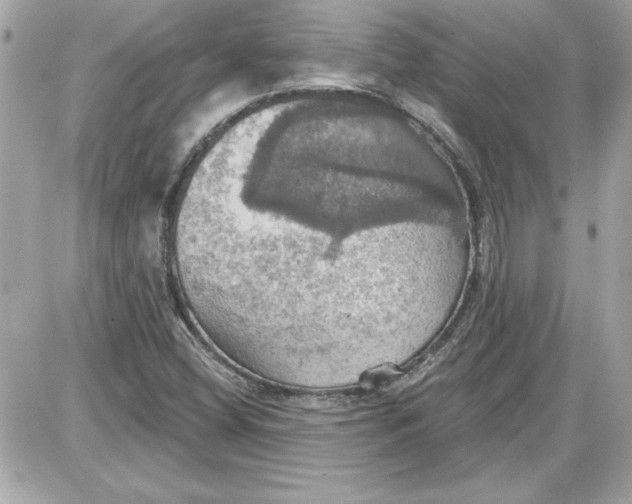 X0000087411404200705111840