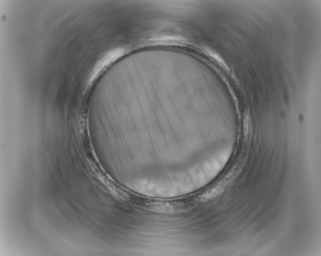 X0000087411405200705111840