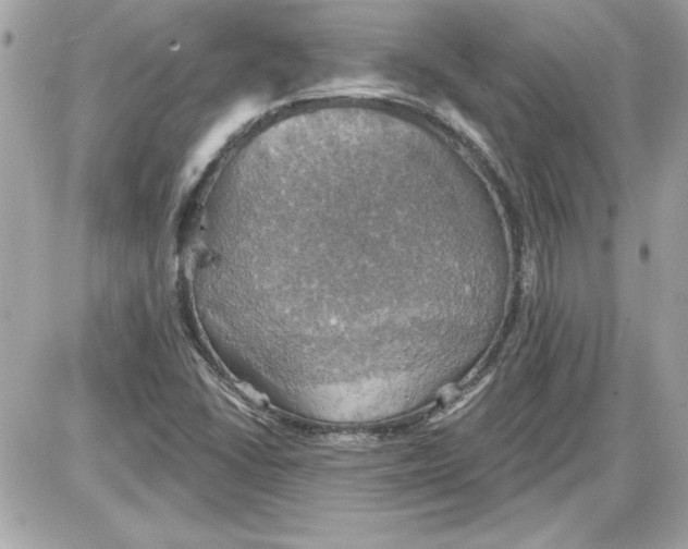 X0000087411406200705111840