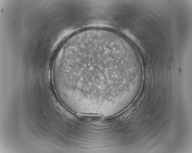 X0000087411408200705111840