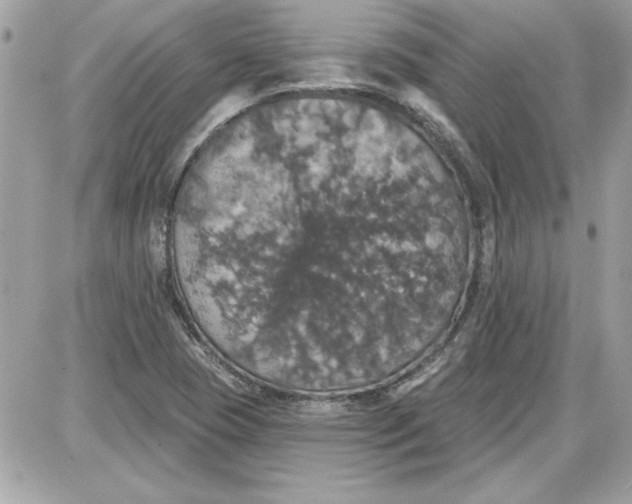 X0000087411409200705111840