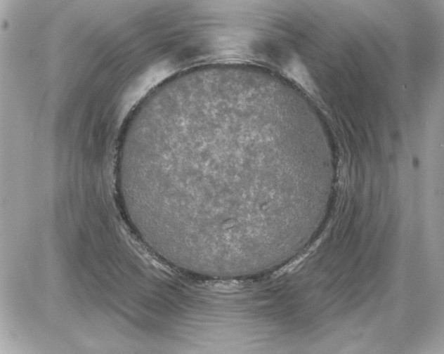 X0000087411410200705111840