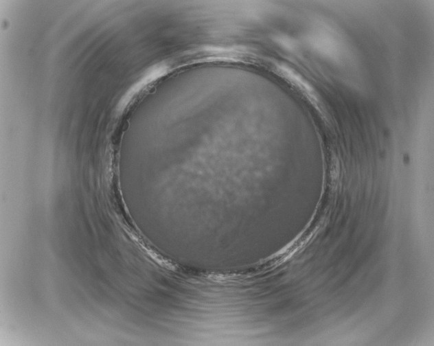 X0000087411411200705111840