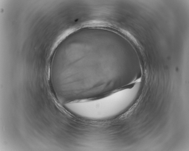 X0000087411413200705111840