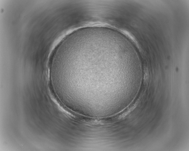 X0000087411414200705111840