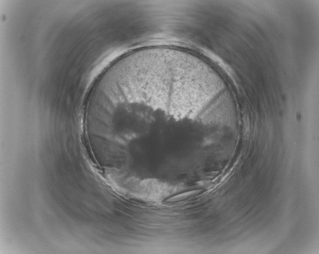 X0000087411415200705111840