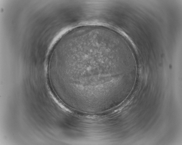 X0000087411416200705111840