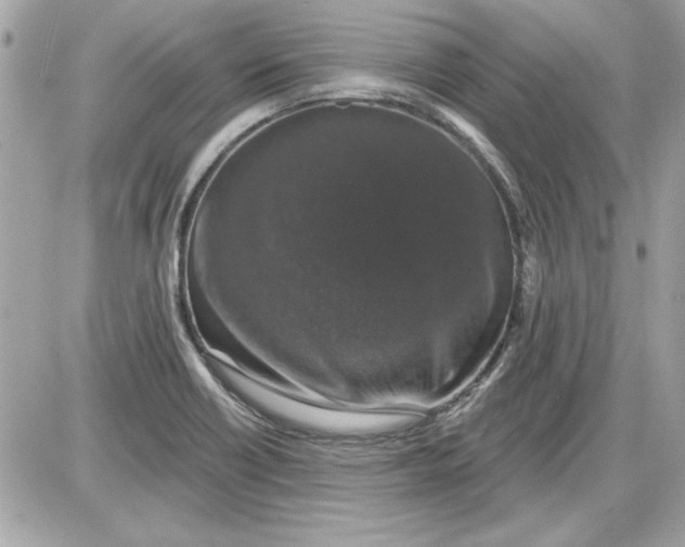 X0000087411418200705111840