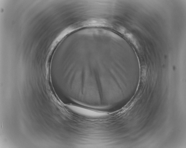 X0000087411419200705111840