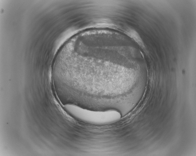 X0000087411420200705111840