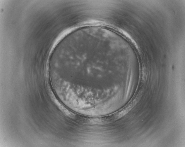 X0000087411421200705111840