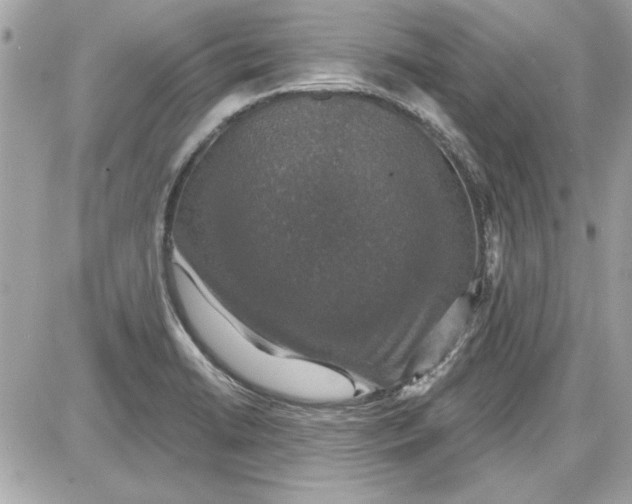 X0000087411422200705111840