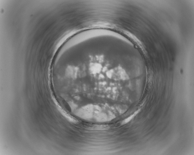 X0000087411423200705111840