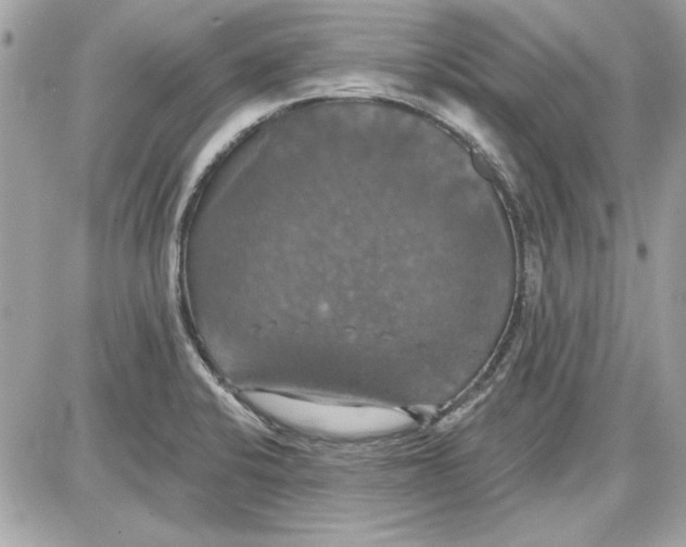 X0000087411424200705111840