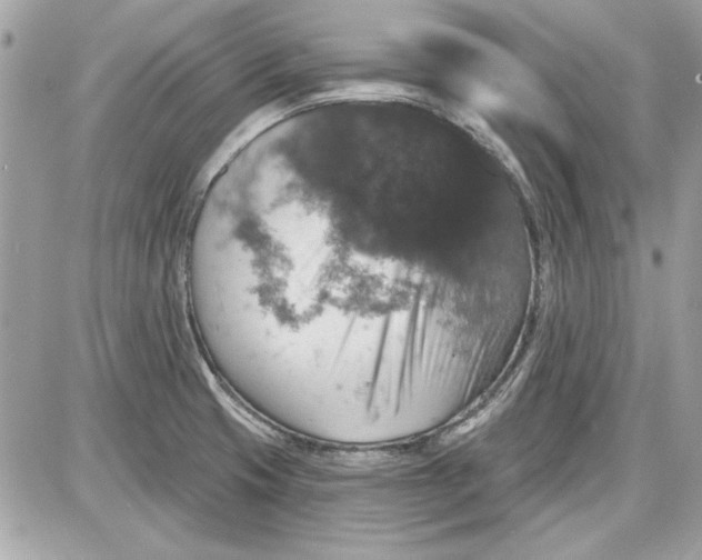 X0000087411425200705111840