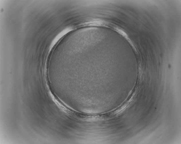 X0000087411426200705111840