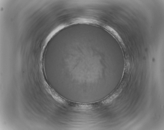 X0000087411427200705111840